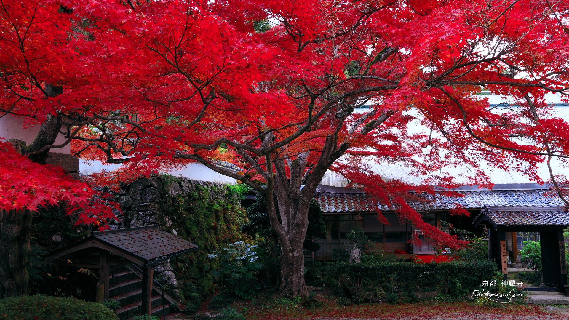 亀岡神蔵寺の紅葉と納経宝印処