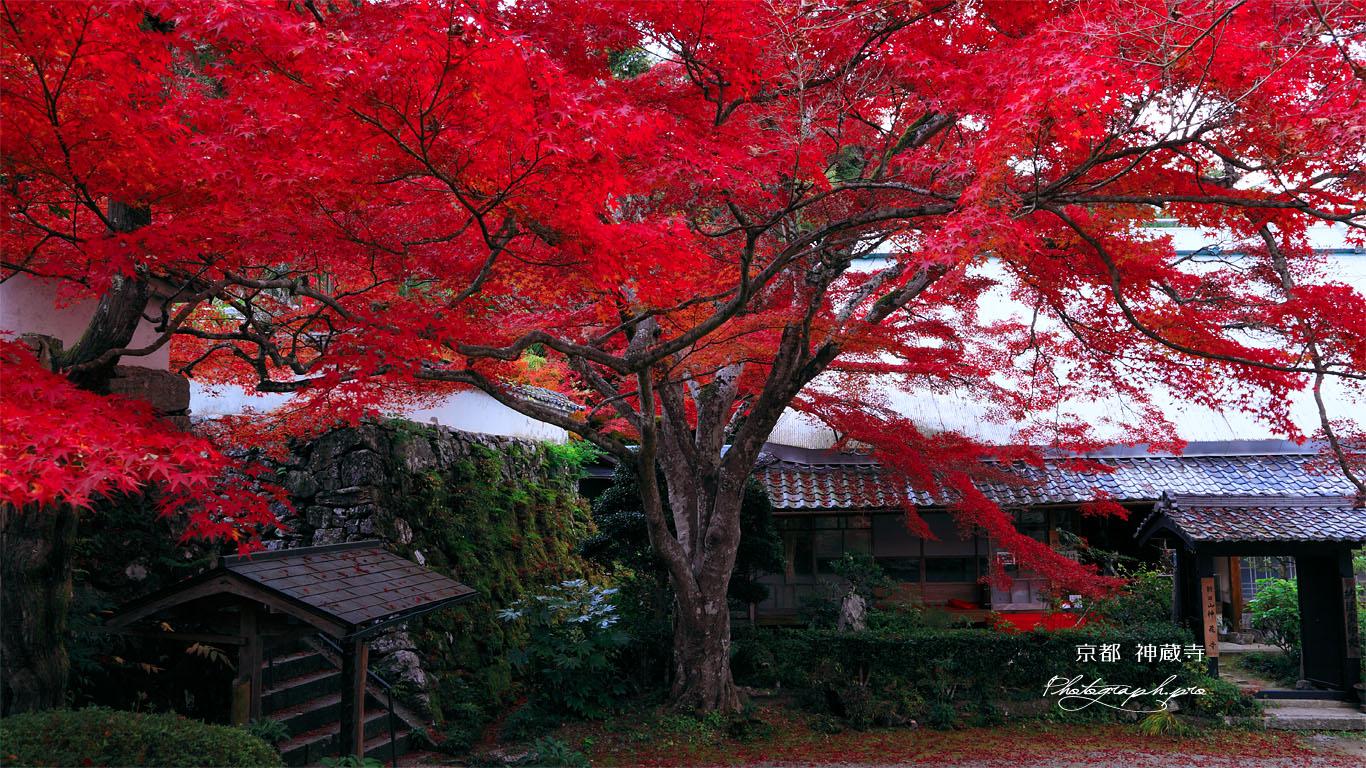 亀岡神蔵寺の紅葉と納経宝印処 壁紙