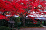 亀岡神蔵寺の紅葉と納経宝印処