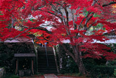 神蔵寺