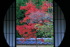 泉涌寺雲龍院