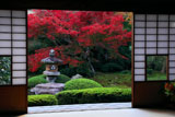 泉涌寺雲龍院 書院から庭園の紅葉