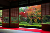 泉涌寺雲龍院 客殿から庭園の紅葉