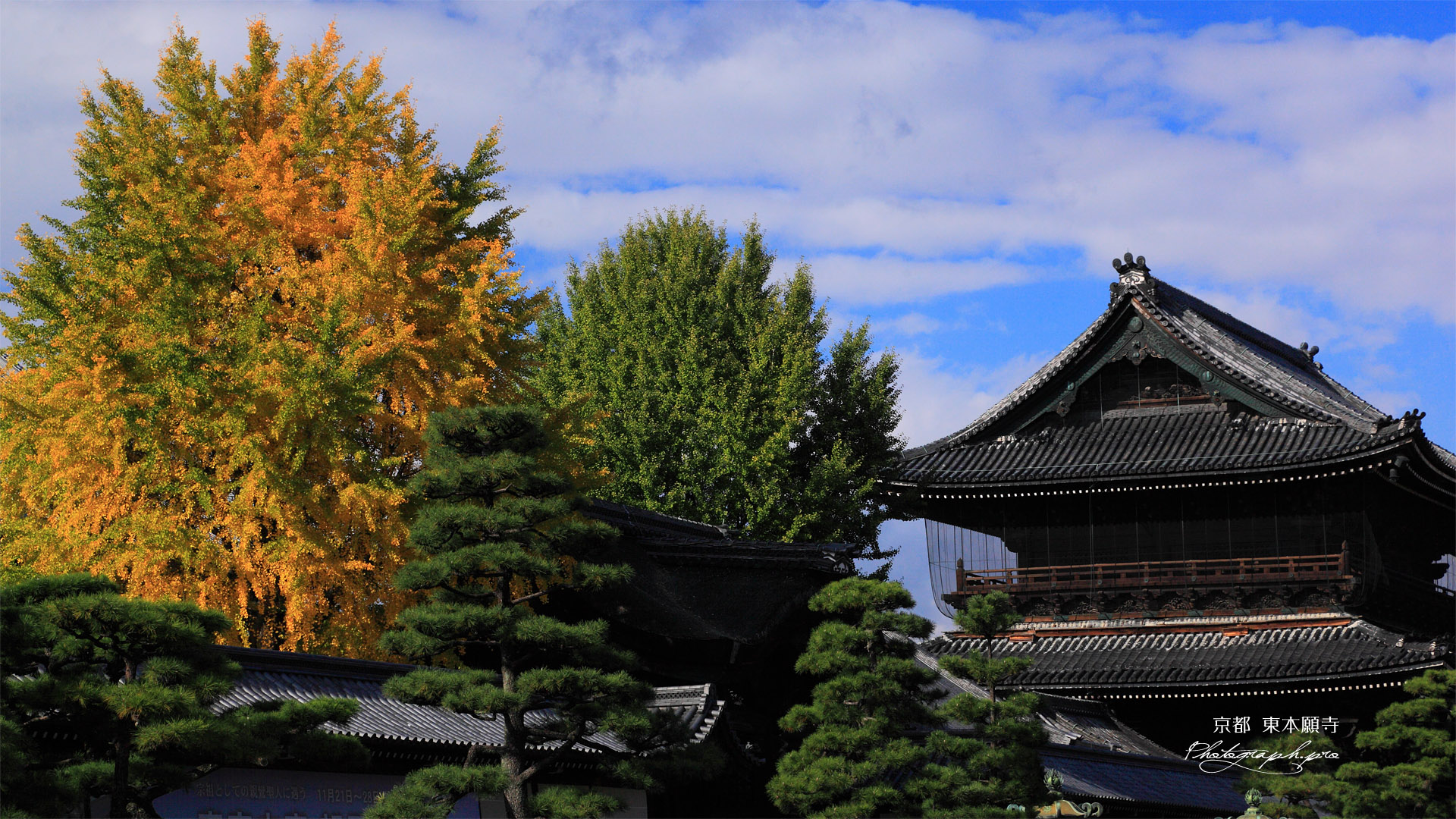 東本願寺 烏丸通からの御影堂門