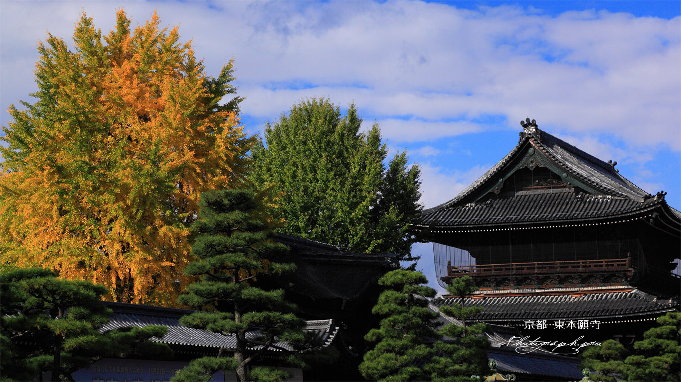 東本願寺 烏丸通からの御影堂門 壁紙