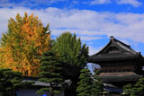 東本願寺 烏丸通からの御影堂門