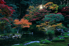 南禅院