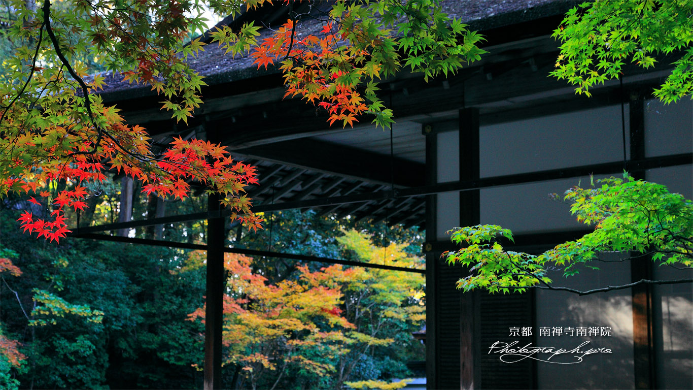 南禅寺南禅院 初紅葉と方丈 壁紙