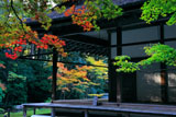 南禅寺南禅院 初紅葉と方丈