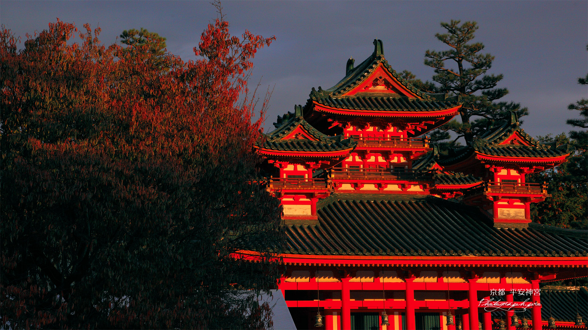 平安神宮 左近の桜の紅葉と蒼龍楼