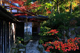 大原寺宝泉院 玄関前の紅葉