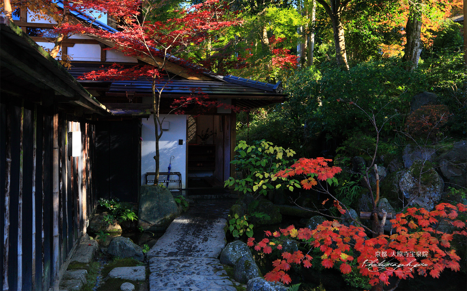 大原寺宝泉院 玄関前の紅葉