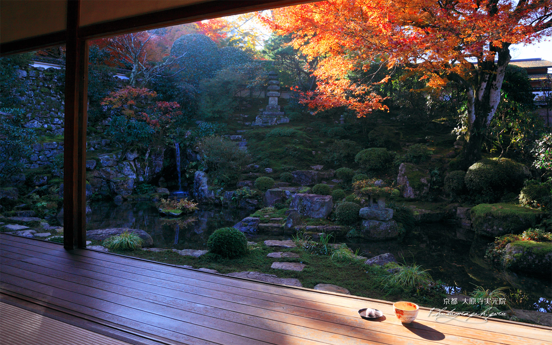 大原寺実光院 客殿から紅葉の契心園