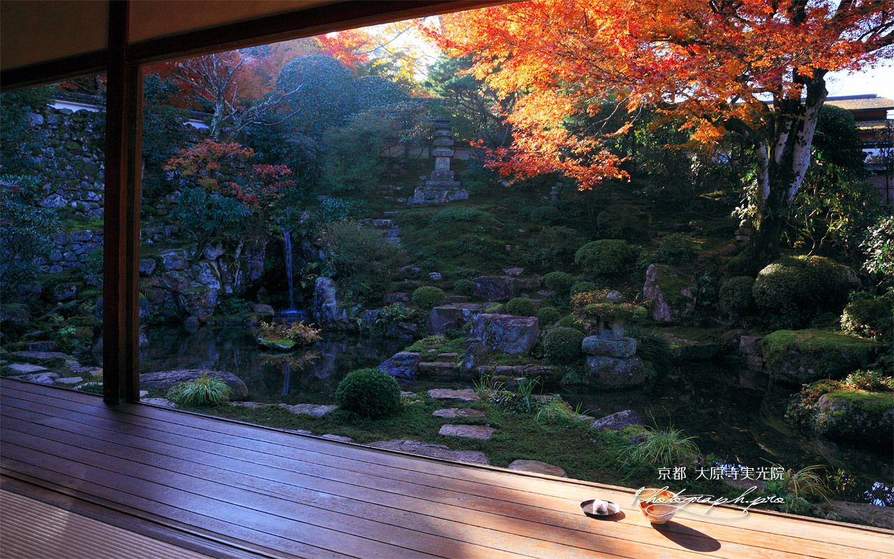 大原寺実光院 客殿から紅葉の契心園 壁紙