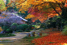 大原寺実光院