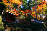 三千院朱雀門と紅葉