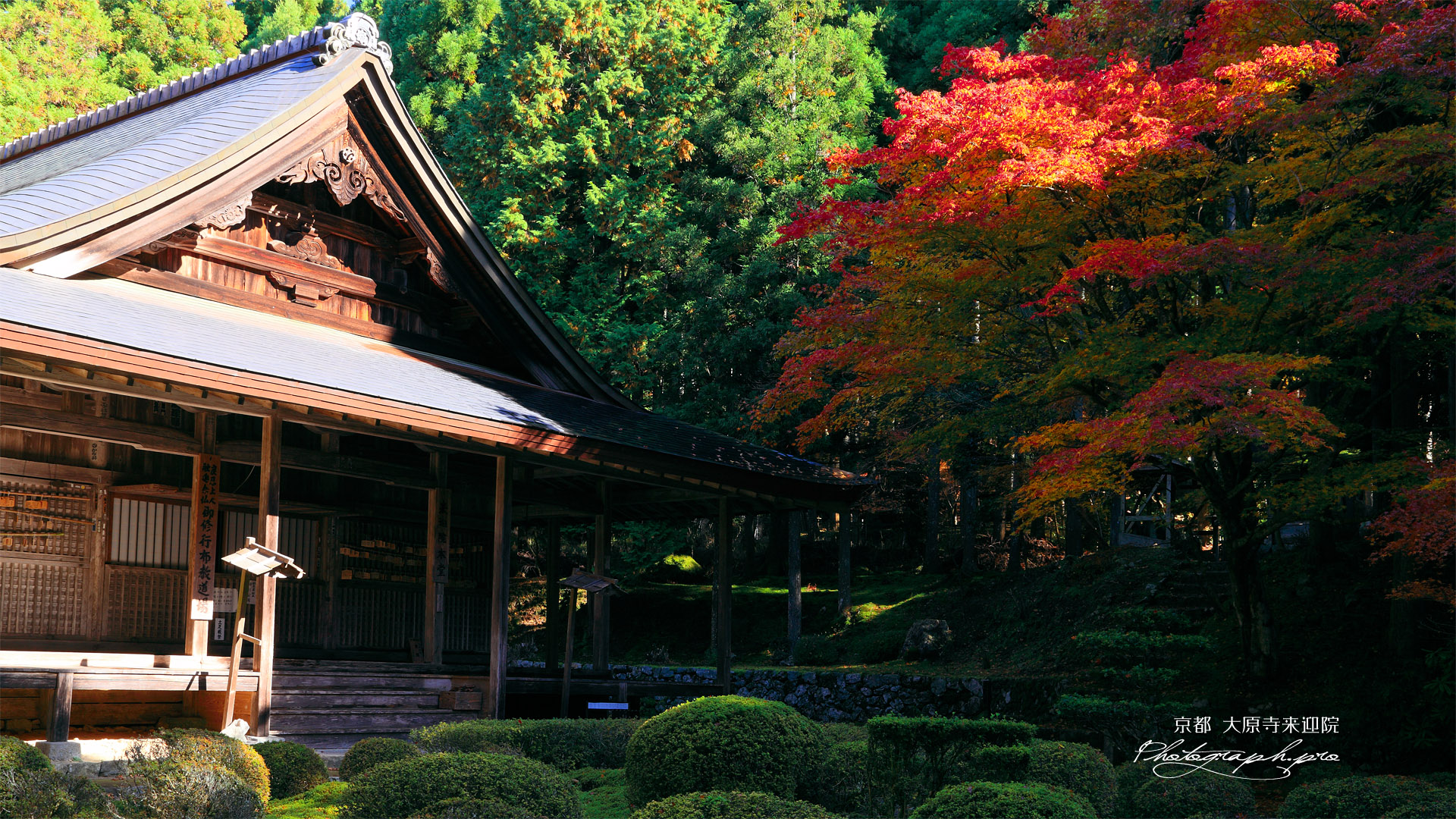 大原寺来迎院 紅葉と本堂