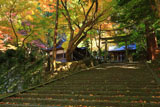 八瀬天満宮社 石段と紅葉
