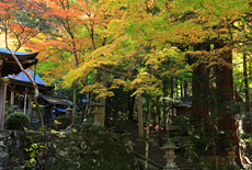 八瀬天満宮社