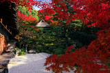 金福寺