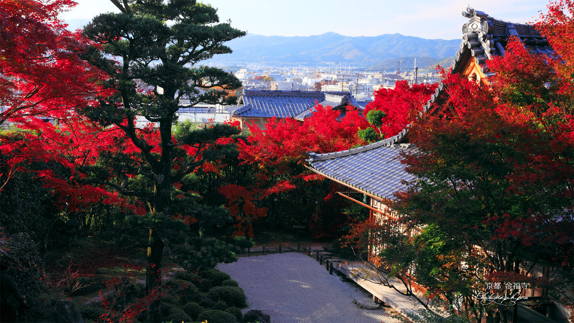 京都金福寺 本堂と紅葉