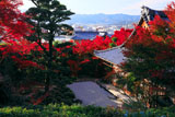 京都金福寺 本堂と紅葉