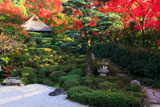 京都金福寺 芭蕉庵と紅葉