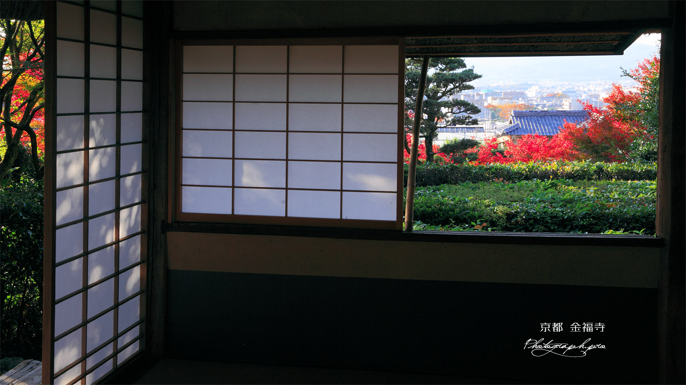 京都金福寺 茶室 芭蕉庵 壁紙