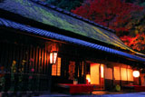 京都 平野屋と紅葉