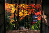 寂光院 山門越しの紅葉