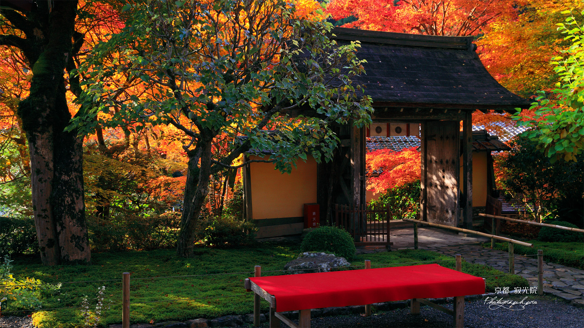 寂光院 山門と紅葉