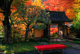 寂光院 山門と紅葉
