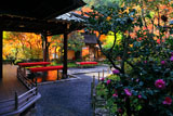 寂光院 サザンカ