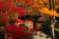 寂光院