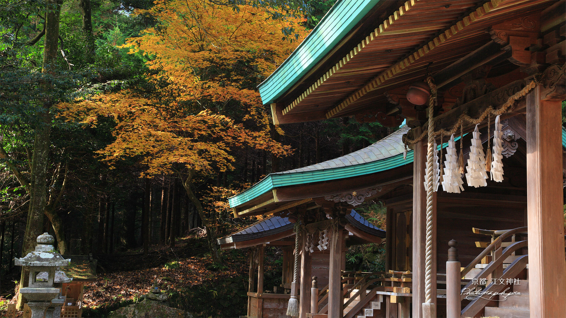 江文神社 社殿と紅葉