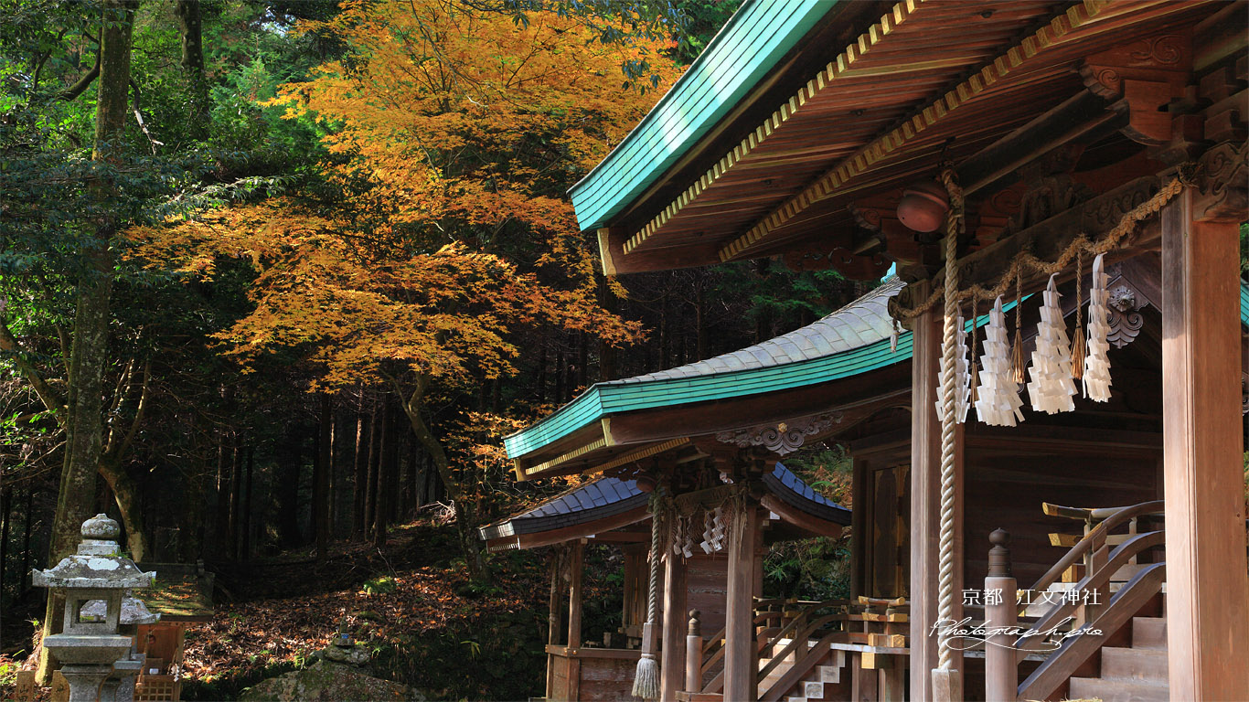 江文神社 社殿と紅葉 壁紙