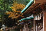 江文神社