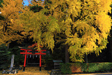岩戸落葉神社