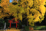 岩戸落葉神社