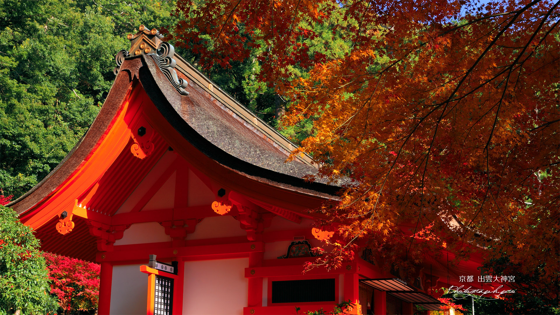 出雲大神宮 紅葉と本殿