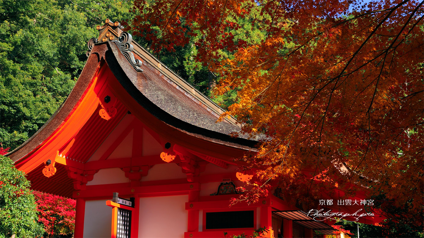 出雲大神宮 紅葉と本殿 壁紙