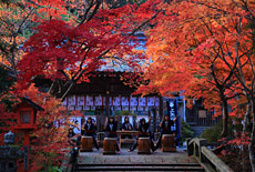 鍬山神社