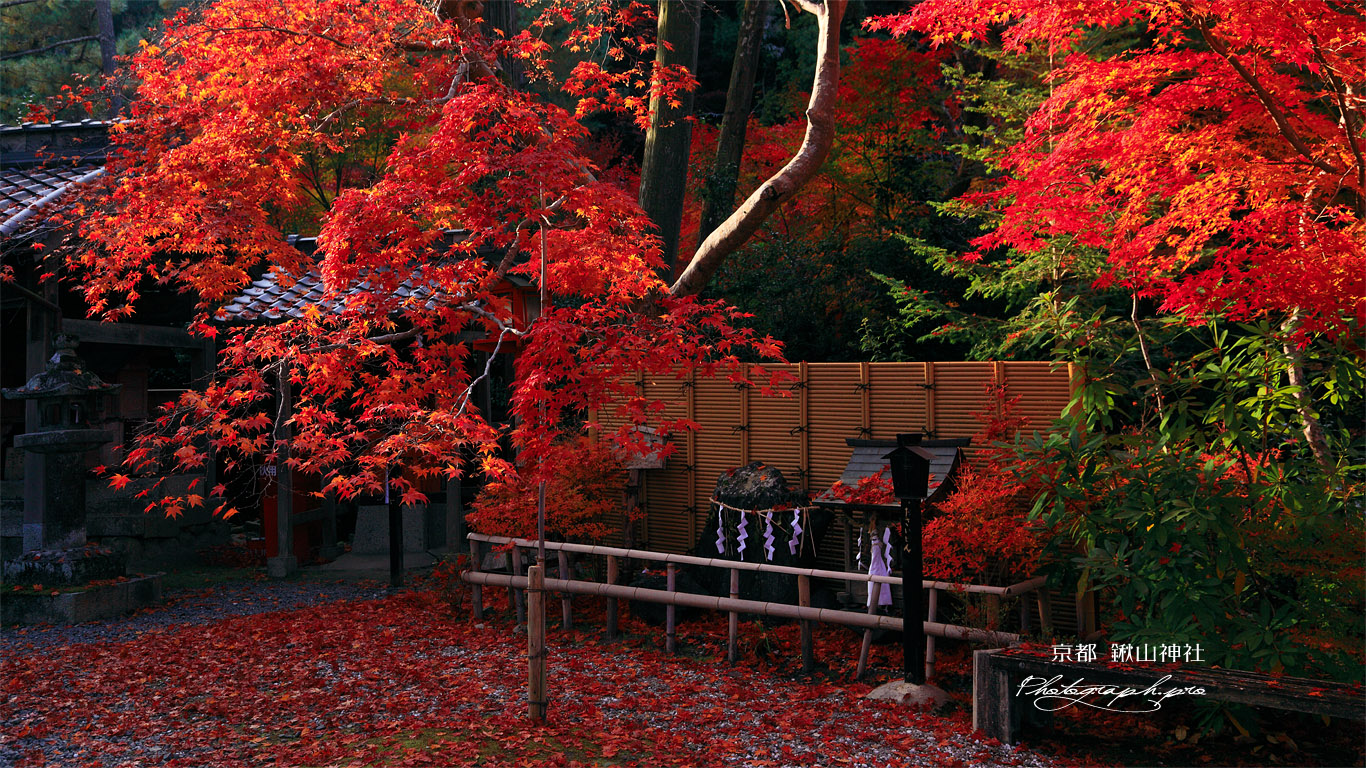 鍬山神社 紅葉と安産石 壁紙