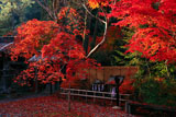 鍬山神社 紅葉と安産石