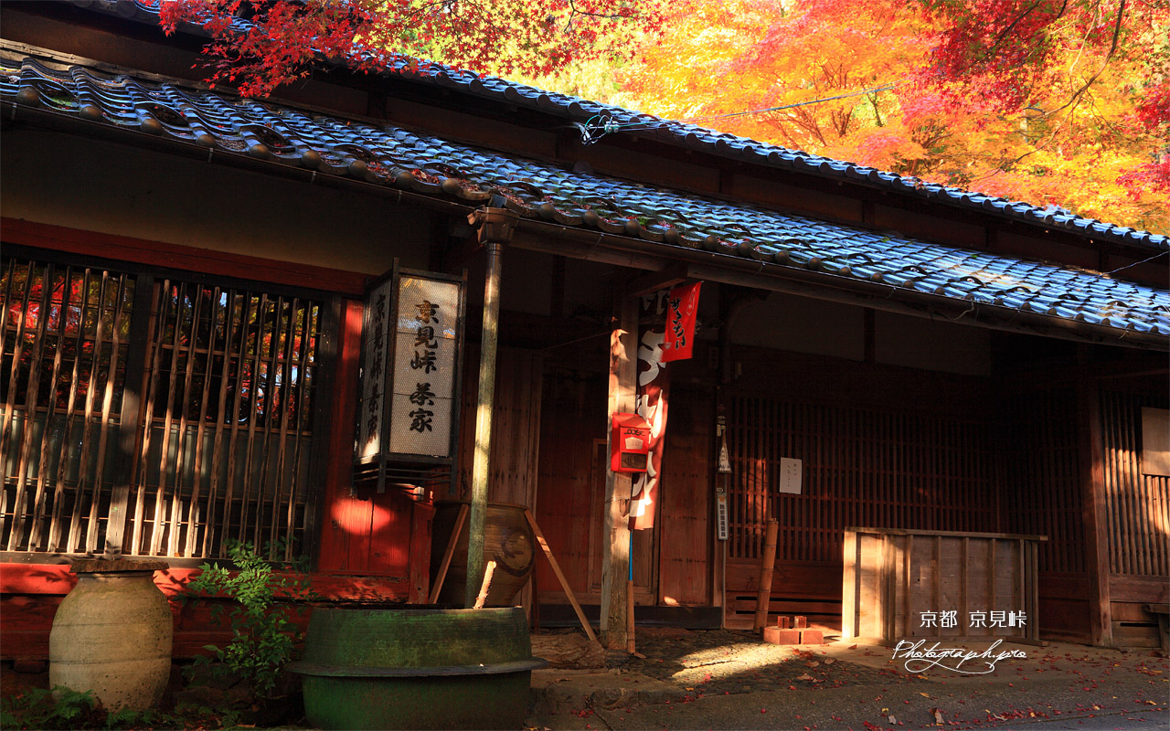 錦秋の京見峠茶屋 壁紙