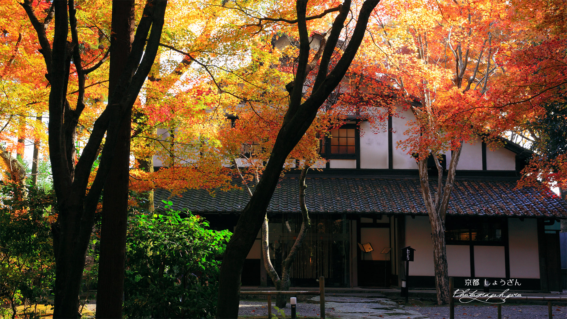 しょうざん 紅葉のわかどり