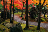 しょうざん 紅葉の北庭の紀州石