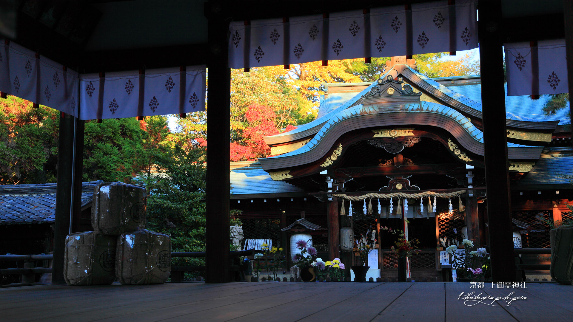 京都上御霊神社 舞殿越しに拝殿と紅葉