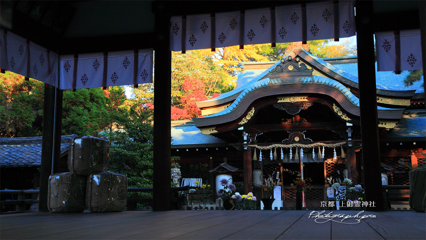 京都上御霊神社 舞殿越しに拝殿と紅葉 壁紙