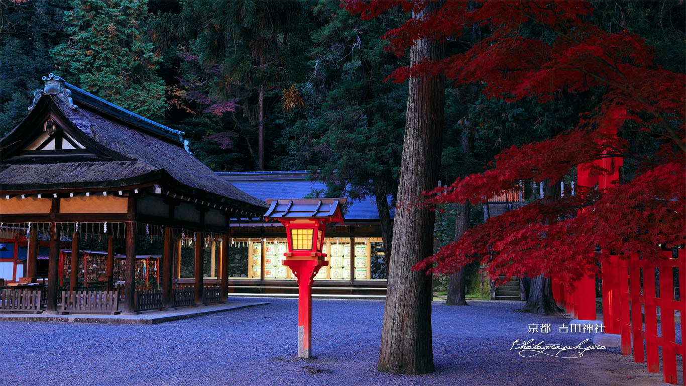 吉田神社 本宮拝殿と神楽殿 壁紙